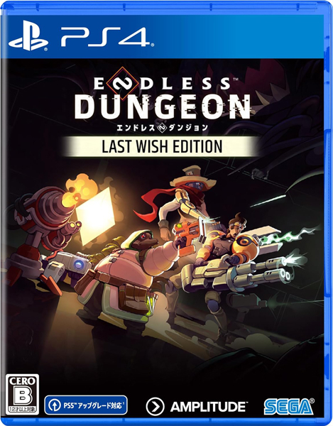 ENDLESS DUNGEON LAST WISH EDITION［PS4版］